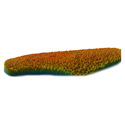 peau-3D-focuskin